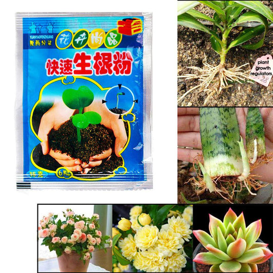 Rapid Rooting Powder - 5 Pcs